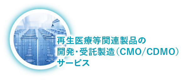 再生医療等関連製品の開発・受託製造（CMO/CDMO）サービス