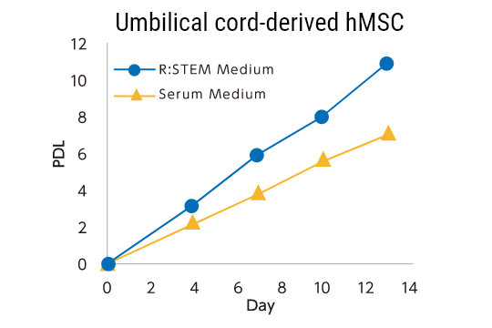 Umbilical cord-derived hMSC