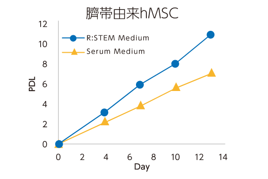 脂肪由来hMSC