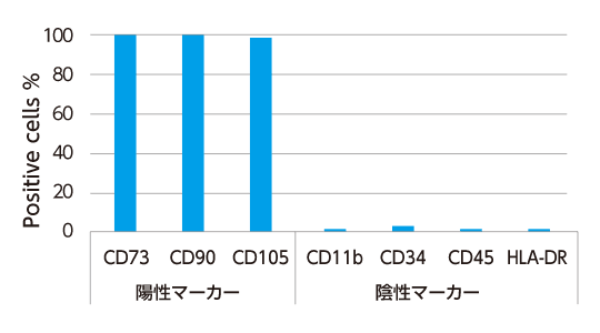 細胞表面マーカー