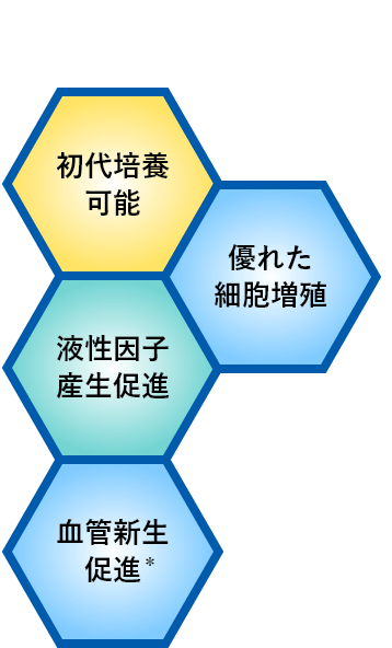 初代培養可能・優れた細胞増殖・液性因子産生量促進・血管新生促進＊