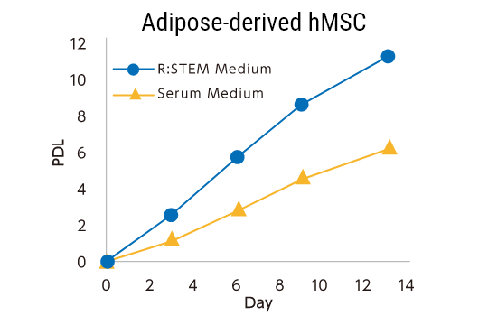 Adipose-derived hMSC
