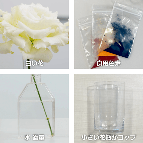 カラフルな花は自分たちで作れるの ロート製薬株式会社 カラフルな花は自分たちで作れるの ロート製薬株式会社