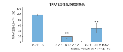 メントールによって活性化された痛み受容体（TRPA1）を抑制する成分の探索の結果