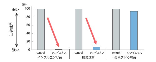 薬液直接接種試験におけるシンイエキスの抗菌作用