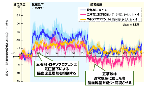 気圧低下による脳血流量の変化