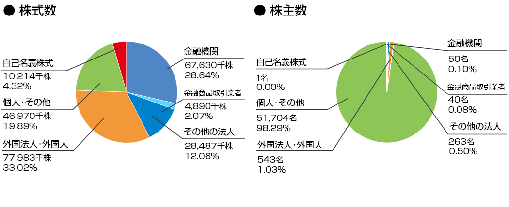 Shareholder Composition