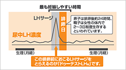 最も妊娠しやすい時期の排卵日を約1日前に予測する ドゥーテスト Lha 全国の薬局 薬店で発売 ロート製薬株式会社