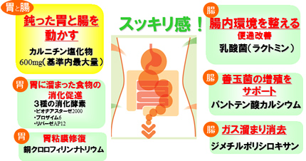 原因 ガス だまり 腰痛とお腹のガス溜まりの関係について｜原因、予防法、ガス溜まりのタイプなど解説